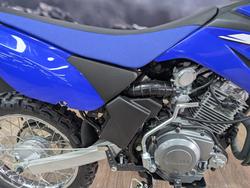 2025 Yamaha TTR125LWE BLUE