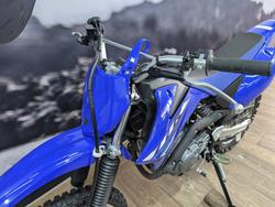 2025 Yamaha TTR125LWE BLUE