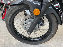 2022 Kawasaki VERSYS-X 300 SE GREEN