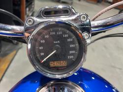 2008 Harley-davidson XL1200C SPORTSTER CUSTOM Blue/Black