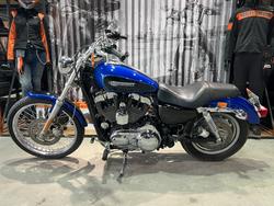 2008 Harley-davidson XL1200C SPORTSTER CUSTOM Blue/Black