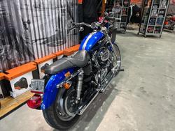 2008 Harley-davidson XL1200C SPORTSTER CUSTOM Blue/Black