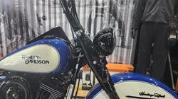 2008 Harley-davidson FLSTC HERITAGE SOFTAIL CLASSIC Blue