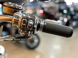 2009 Harley-davidson FLSTC HERITAGE SOFTAIL CLASSIC BLACK