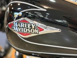 2009 Harley-davidson FLSTC HERITAGE SOFTAIL CLASSIC BLACK