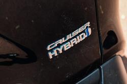 2021 Toyota RAV4 Cruiser