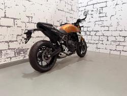 2025 Suzuki GSX-8T GSX-S Gold