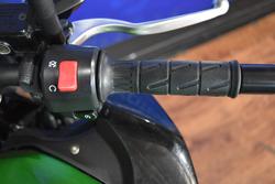 2015 Kawasaki Z300 ABS Green