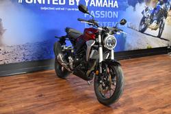 2019 Honda CB300R ABS (CBF300NA)
