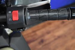 2025 Kawasaki KLR650 (KL650) Camo/Green