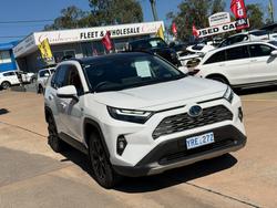 2024 Toyota RAV4 Cruiser