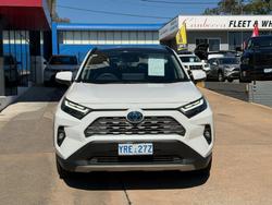 2024 Toyota RAV4 Cruiser