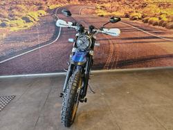 2021 Ducati Scrambler DESERT SLED Scrambler Blue