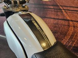 2021 Ducati Scrambler DESERT SLED Scrambler Blue