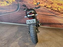 2021 Ducati Scrambler DESERT SLED Scrambler Blue