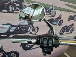 2020 Harley-davidson FLFBS FAT BOY (114) Barracuda Silver Denim/Black D