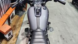 2022 Harley-davidson FLSB SPORT GLIDE (107) Fastback Blue