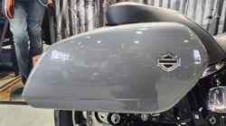 2022 Harley-davidson FLSB SPORT GLIDE (107) Fastback Blue