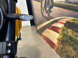 2022 Ducati Scrambler 1100 Tribute Pro Scrambler Yellow