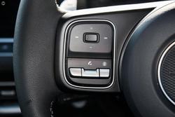 2025 GWM Cannon Vanta