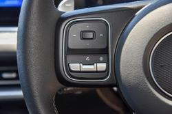 2025 GWM Cannon Vanta