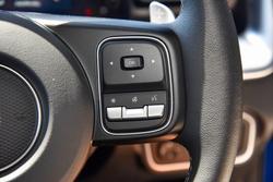 2025 GWM Cannon Vanta