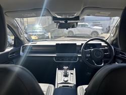 2025 GWM Cannon Premium