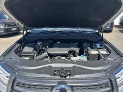 2025 GWM Cannon Premium