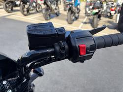 2023 Indian SCOUT ROGUE Grey