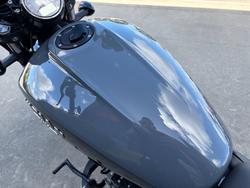 2023 Indian SCOUT ROGUE Grey