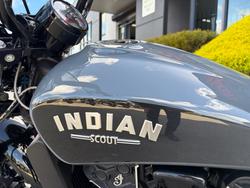 2023 Indian SCOUT ROGUE Grey