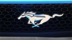 2017 Ford Mustang GT FM MY17 Blue