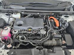 2023 Toyota RAV4 Cruiser AXAH54R 4X4 On Demand wHITE