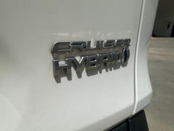 2020 Toyota RAV4 Cruiser