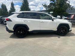 2020 Toyota RAV4 Cruiser