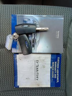 2008 Ford Territory TX SY Lightning Strike