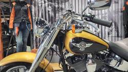 2017 HARLEY-DAVIDSON FLSTF FAT BOY