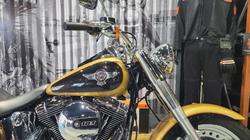 2017 HARLEY-DAVIDSON FLSTF FAT BOY