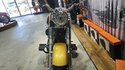 2017 HARLEY-DAVIDSON FLSTF FAT BOY