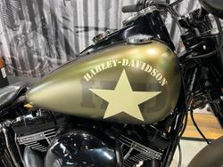 2016 Harley-davidson FLSS SOFTAIL SLIM S Green