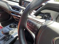 2019 LEXUS UX UX250H F SPORT