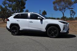 2020 Toyota RAV4 Cruiser