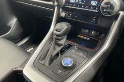 2025 Toyota RAV4 Cruiser