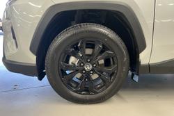 2025 Toyota RAV4 Cruiser