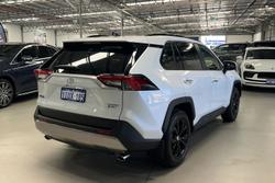 2025 Toyota RAV4 Cruiser