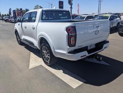 2023 GWM Ute Cannon