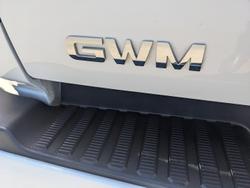 2023 GWM Ute Cannon