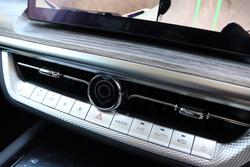 2025 GWM Cannon Alpha Ultra