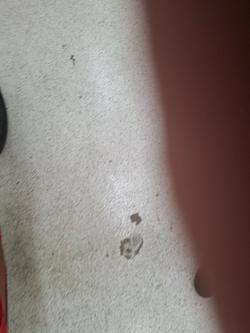 2025 DUCATI PANIGALE V2 Red