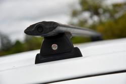 2019 Isuzu MU-X LS-M